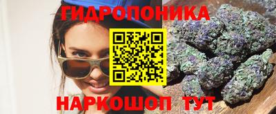 прущие крисы Лесосибирск