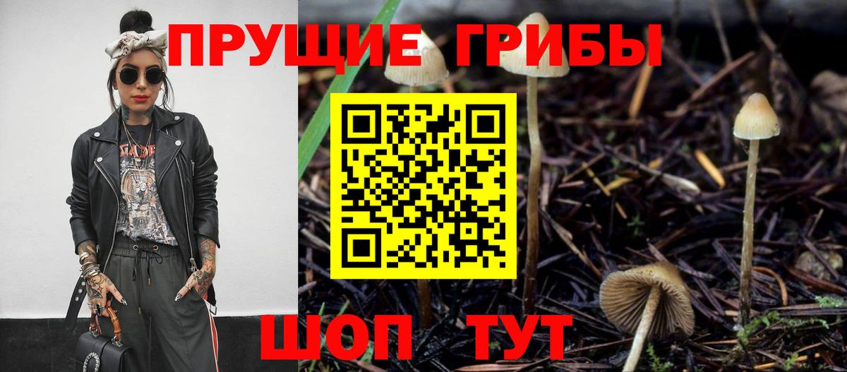Рязань  Псилоцибиновые грибы мицелий  Псилоцибиновые грибы мицелий  Вход с VPN 