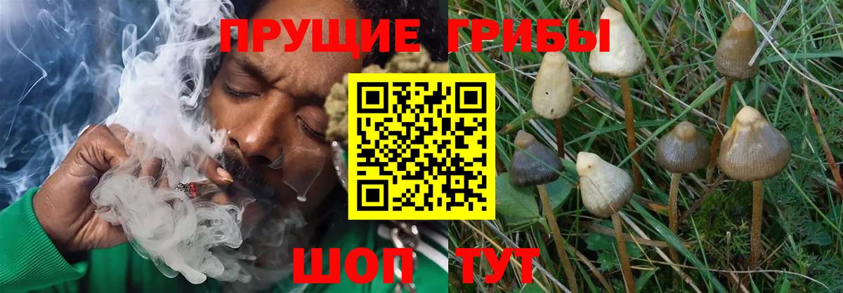 Рязань  Метадон  Канабис  Меф   NBOMe  A-PVP СОЛЬ кристаллы  Вход с VPN  ГАШИШ  МДМА 