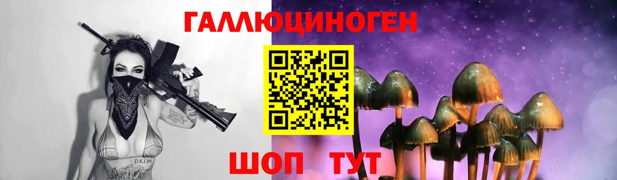 Галлюциногенные грибы Psilocybe Рязань